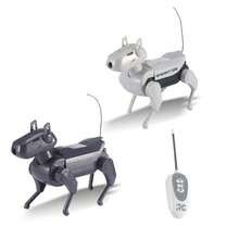 Adult Remote Control Toys