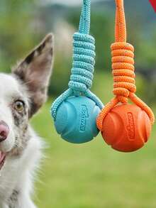 夜光反光条纹狗狗玩具球，清洁牙齿，自娱自乐，绳索玩具球，宠物用品，拔河玩具，狗狗玩具，互动训练，漂浮耐用咀嚼玩具球，宠物用品，宠物玩具，易于清洁的捡球玩具球，耐用咀嚼玩具，磨牙狗狗玩具，互动娱乐玩具，宠物训练，缓解无聊，促进人宠互动，增进感情玩具球