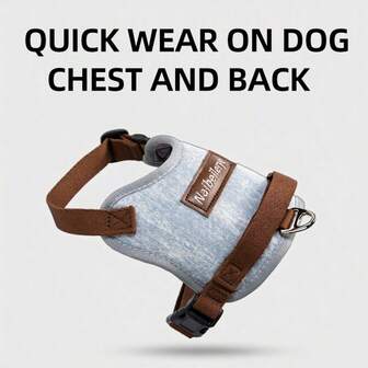 透气全覆盖式狗狗胸背带牵引绳，背心式宠物胸背带，适合夏季，适用于柯基犬、博美犬等中小型犬，可调节胸带，方便户外散步
