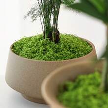 1 Pack 200g Realistic Artificial Green Moss, Durable Plastic, Indoor/Outdoor Decor, Suitable For Glass Containers, Planters And Landscaping, Natural Green Moss Texture, Easy To Install And Maintain, Great For Home And Garden Decor, Plant Moss, Indoor Gardening, Natural Appearance, Easy To Install - Green - View 8