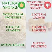 All - Natural Remover Cleansing Sponge u2013 Wool, Single Piece - Beige natural - Ver 6