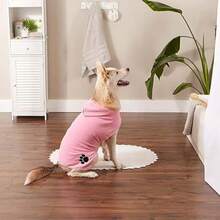 Bone Dry Colección Pet Robe - Bata de baño de Microfibra Absorbente Bordada con Cierre Ajustable, para Perros y Gatos, Talla S, Color Aguamarina(Large Rosado) - Multicolor - Ver 5