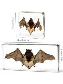 1pc Premium Crystal Bat Model, Giant Bat Teaching Specimen Bookend Novelty Gift Student Educational Tool Resin Craft, Transparent Natural Insect Spider Specimen, Rare Giant Insect Spider Bat From Primeval Forest, High-End Crystal Decor Ornament, Best Crystal Craft Gift For Meetings, Events, Parties - Multicolor - View 10