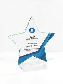 Customize Personalized Acrylic Award Plaque,Custom Name,Star Shaped Trophy,Anniversary Gift For Him, Couple Gift,Unforgettable Gratitude Gift For Celebrating Special Days,Custom Corporate Recognition Trophy,Employee Award Plaque - Retirement Or Appreciation Gift For Staff & Manag - Multicolor - View 10