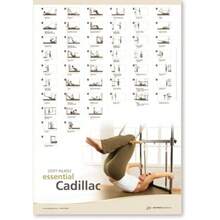 STOTT Pilates Wall Chart - EssentialCadillac - View 5