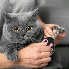 1pc Stainless Steel Pet Nail Clipper, Easy To Use And Clean, Suitable For Cats, Dogs, Rabbits, Birds - Multicolor - View 8