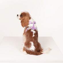 Spring New Plaid Pattern Dog Harness And Leash Set, Made Of Soft Breathable Mesh Fabric, Back Equipped With Round Ring For Increased Stability, Anti-Friction Design, Adjustable Size, Suitable For Small Dogs - Fashionable And Comfortable, Ideal For Daily Walking And Training. Matching Leash Has Waste Bag Holder. - Mauve Purple - View 8