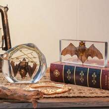 1pc Premium Crystal Bat Model, Giant Bat Teaching Specimen Bookend Novelty Gift Student Educational Tool Resin Craft, Transparent Natural Insect Spider Specimen, Rare Giant Insect Spider Bat From Primeval Forest, High-End Crystal Decor Ornament, Best Crystal Craft Gift For Meetings, Events, Parties - Multicolor - View 9