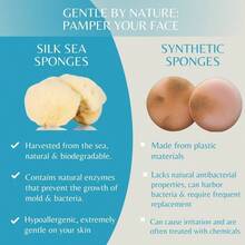 All - Natural Remover Cleansing Sponge u2013 Wool, Single Piece - Beige natural - Ver 4