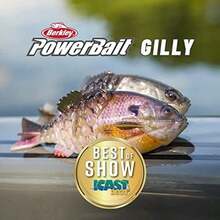 Berkley Gilly Fishing Soft Bait(90 mm HD Crappie) - Multicolor - Ver 6