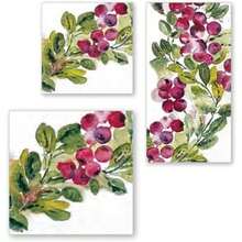 Table Napkins - Multicolor - View 4
