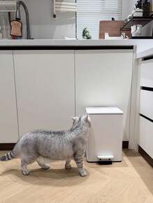 1pc 3.17 Gallon Stainless Steel Pedal Trash Can, High-End Luxury, Durable Anti-Fingerprint, Spray Painted, Manually Fixable 90 Degree, Storage For Home Garbage Collection, Suitable For Kitchen, Bathroom, Living Room, Simplifies Garbage Collection, Odor-Proof Garbage Container