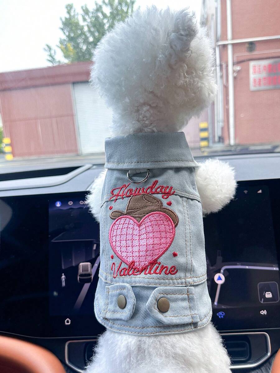 PETCIRCLE 1件宠物衣服,狗狗/猫咪套装,小型犬/幼犬服装,可爱舒适的爱心连帽外套,情人节时尚装扮 - 藍色 - 查看 1