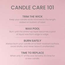 Yankee Candle - Vela perfumada de pilar mediano con hasta 115 horas de combustión, mezcla de cera de plantas premium para quemaduras constantes, vela de pilar de 14 onzas con fragancia de relleno de(Cupcake de vainilla. Signature Large 2-Wick Tumbler) - Multicolor - Ver 6