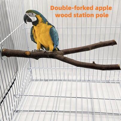 Natural Apple Wood Parrot Claw Grinding Perch, Dual Branch Bird Stand, Wooden Bird Toy Cage Accessory. The Natural Growth Size May Vary.