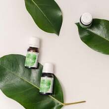 ¡RecomendadoÁrbora Aceite Esencial de Tea Tree AUSTRALIANO 100% puro| ¡Más de 10 USOS de bienestar y belleza!| Reconforta tu piel y cabello| Ingredientes certificados| Aceite de 1° destilación| 11ml¡Top de Temporada - Arbol de Té - Ver 7