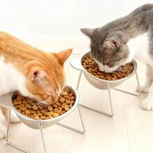 304Stainless Steel Cat And Dog Feeding And Water Bowl - Adjustable Height, Overflow-Proof Wide Base, Easy-To-Clean Design, Rust-Resistant And Durable Structure, Suitable For Indoor/Outdoor Use - Cleaning Cat Feeding Station, Modern Pet Accessories, Easy-To-Clean Materials - 420ml - View 3