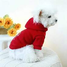 XL Cute Dog Hoodie Sweatshirt, Winter Clothing, Red & White, Valentine's Day Style, Small Dog & Puppy Hooded Jacket, Dachshund Pet Pullover - Red - View 5