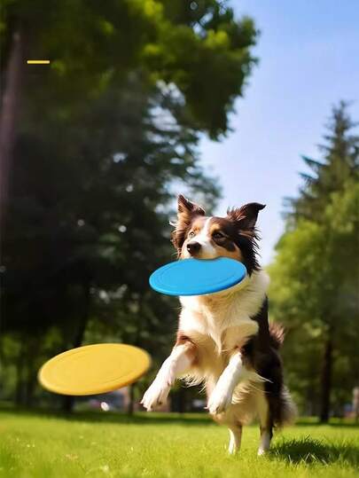 1 قطعة/2 قطعة/3 قطع من القرص الناعم غير الانزلاقي للكلاب من السيليكون، لعبة الفريسبي، لعبة كلاب مضادة للمضغ، لعبة تفاعلية مرحة للتدريب، لوازم الكلاب، ألوان عشوائية