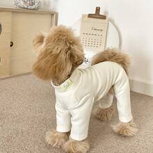 冬季狗狗衬衫 | 狗狗睡衣，四脚连体服，狗狗家居服，针织涤纶面料，适合中小型犬，可机洗，舒适的狗狗睡衣（适合中小型犬） - 柔软保暖的恢复服，弹性贴身设计，适合贵宾犬、比熊犬、法国斗牛犬、吉娃娃等犬种