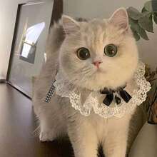 1pc Cute Bowknot Cat Collar With Bib And Saliva Towel Knitted Neck Guard Pet Collar Decoration Mouth Cover Lovely Dog Photography Prop - 彩色 - 查看 6