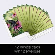 Tarjetas de felicitación sin árboles para todas las ocasiones, diseños artísticos, 12 tarjetas de felicitación + sobres blancos, fabricadas en Estados Unidos, papel 100% reciclado, 4 x 6 pulgadas,(Moments Rest) - Multicolor - Ver 2