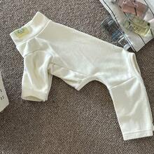 冬季狗狗衬衫 | 狗狗睡衣，四脚连体服，狗狗家居服，针织涤纶面料，适合中小型犬，可机洗，舒适的狗狗睡衣（适合中小型犬） - 柔软保暖的恢复服，弹性贴身设计，适合贵宾犬、比熊犬、法国斗牛犬、吉娃娃等犬种