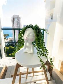 这款造型独特的脸部花盆是室内植物栽培的理想之选。它小巧可爱，底部设有排水孔，可种植多肉植物。除了适合室内植物，它还可以用作花瓶或室内装饰品。 - 彩色 - 查看 2