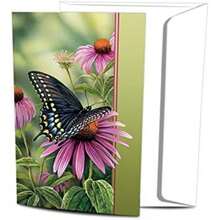 Tarjetas de felicitación sin árboles para todas las ocasiones, diseños artísticos, 12 tarjetas de felicitación + sobres blancos, fabricadas en Estados Unidos, papel 100% reciclado, 4 x 6 pulgadas,(Moments Rest) - Multicolor - Ver 1