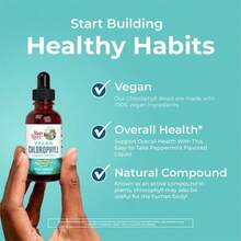 Mary.Ruth's Vegan Chlorophyll Liquid Drops - Non-Diluted Liquid Chlorophyll - Mulberry Derived Supplement - Non-GMO - Delicious Minty Flavor - 3 件裝 - 查看 3