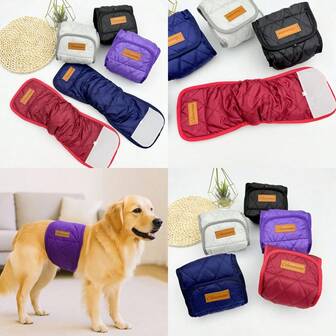 Pet Physiological Diaper For Teddy/Golden Retriever Male Dogs, Comfortable Sanitary Pants For Dog Potty Training, Recovery & Protection