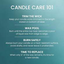 Yankee Candle - Vela perfumada de pilar mediano con hasta 115 horas de combustión, mezcla de cera de plantas premium para quemaduras constantes, vela de pilar de 14 onzas con fragancia de relleno de(Bahama Breeze Large 2-Wick Tumbler) - Multicolor - Ver 6