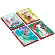 Hallmark Shoebox - Tarjetas de Navidad divertidas en caja (24 tarjetas y 24 sobres) para perros, gatos, llamas, renos(default) - Multicolor - Ver 3