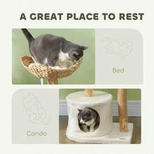 Modern Cat Tree With Wooden Scratching Posts Condo Beds Cushions - 如圖所示 - 查看 6