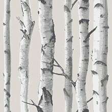 NuWallpaper NU1650 Peel and Stick Wallpaper Birch Tree(Marrón topo) - Multicolor - Ver 1