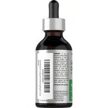 Horbäach Liquid Chlorophyll Drops | Vegan, Non-GMO, And Gluten Free Formula | Natural Peppermint Flavor - 1-GÓI - Xem 2