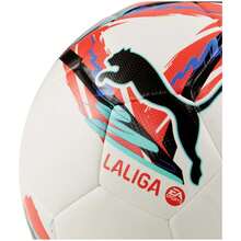 Puma Footballs