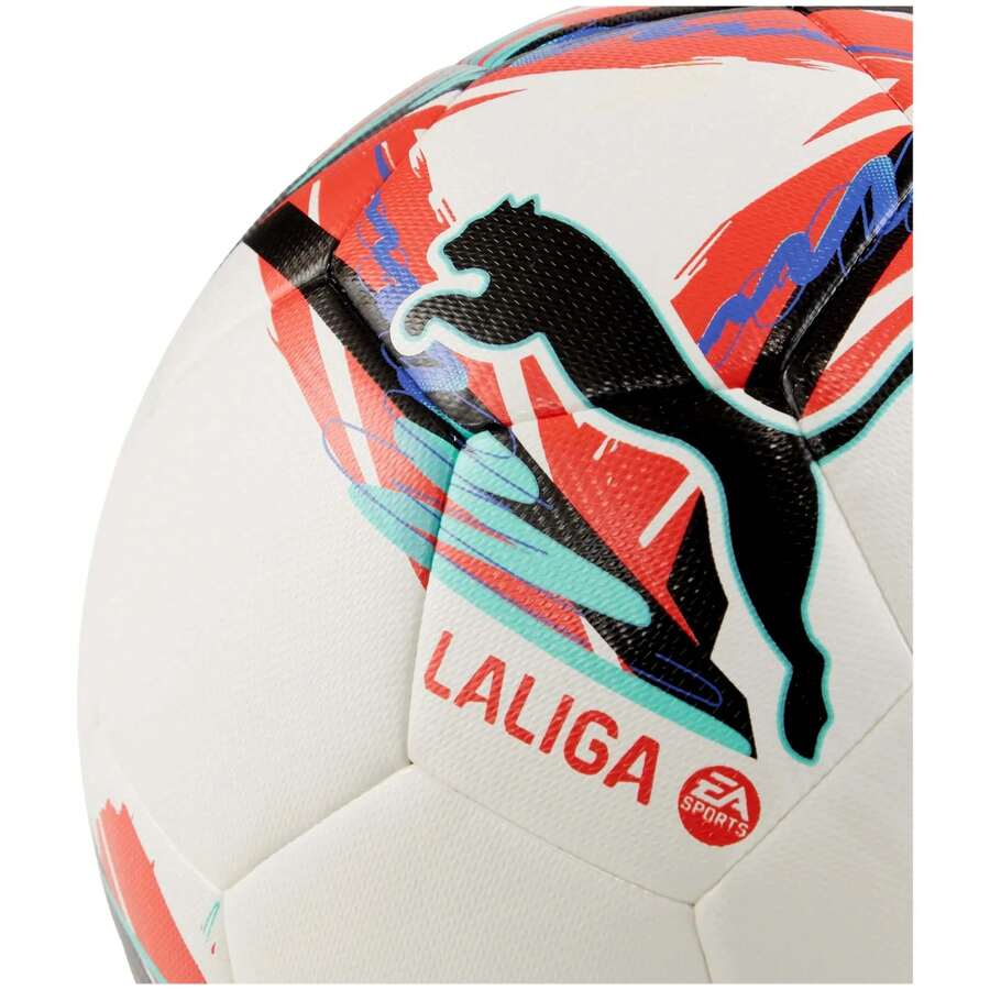 Puma Footballs