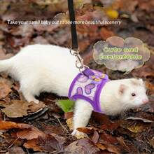 Adjustable Soft Pet Harness And Leash Set - Handmade, Machine Washable - Suitable For Hamsters, Mice, Geckos, Bearded Dragons, And Baby Anteaters - Multicolor - View 7