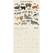 Calendars - Multicolor - View 5