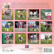 Calendars - Multicolor - View 3