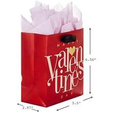 Hallmark - Bolsa de regalo grande de 13 pulgadas con papel de seda (lunares rojos) para Navidad, día del padre, cumpleaños, graduaciones, día de San Valentín, día más dulce o cualquier ocasión(Rojo) - Multicolor - Ver 3