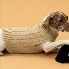 1 Stück Dackel Pullover, Langer Hunde Pullover, Haustier Kleidung, einfarbiger britischer Stil Haustier Pullover, verlängerter Haustier Pullover, minimalistisches Design, Paar/Freund Stil, geeignet für Pudel, Basset Hound, Dackel, Beagle, Corgi, langleibige Hunde, auch für Katzen geeignet, verlängerter Pullover, personalisiert - Gelb - Übersicht 20