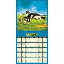 Calendars - Multicolor - View 4