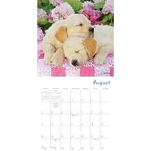 Calendars - Multicolor - View 5