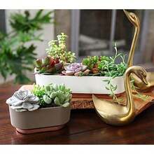 HC Companies Sorrento - Maceta suculenta de plástico Ligero para Interiores con Drenaje, bizcocho de Vainilla(Bisque de vainilla 14 cm) - Multicolor - Ver 2