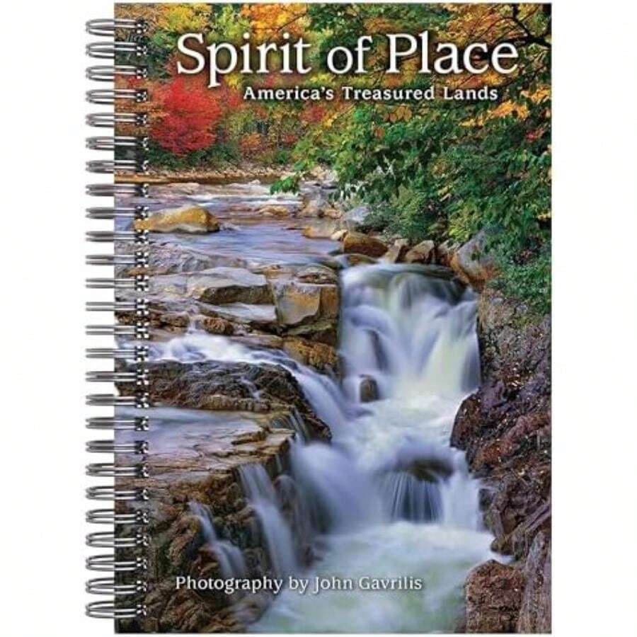 Calendars - Multicolor - View 1