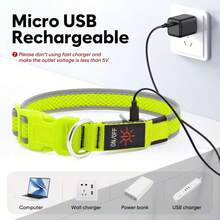 1 pièce Collier lumineux pour chien étanche rechargeable par USB - Collier de confortable et doux en maille ajustable, convient pour les promenades de nuit. Collier de chien LED en maille de nylon doux et ajustable, adapté aux petits, moyens et grands chiens. Design durable et à la mode, améliore la visibilité nocturne - Multicolore - Voir 8