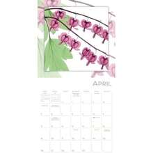 Calendars - Multicolor - View 5