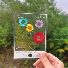 20PCS Collection Autumn Fallen Leaves Handmade DIY Bookmark Transparent Embossed Bookmark Photo Frame Autumn Leaves Plant Flowers - Multicolor - View 6